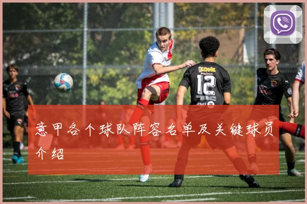 意甲各个球队阵容名单及关键球员介绍